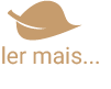 Fichier 4